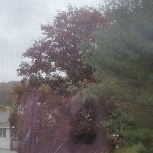 Meet your Posher, Liam